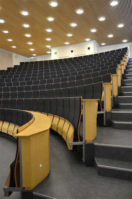 DK Aarhus Anatomie 11.1