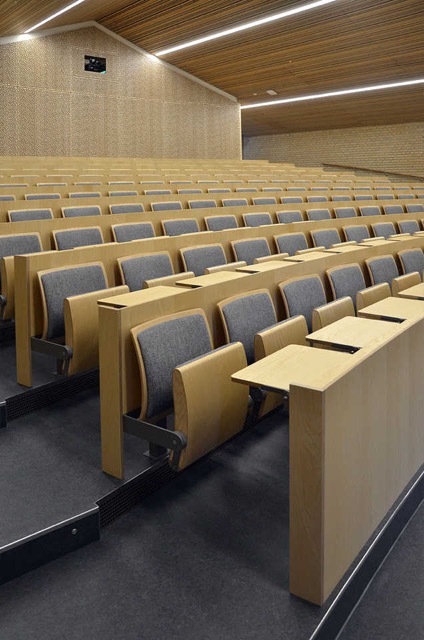 DK Aarhus IAS ARC WOOD 45.1