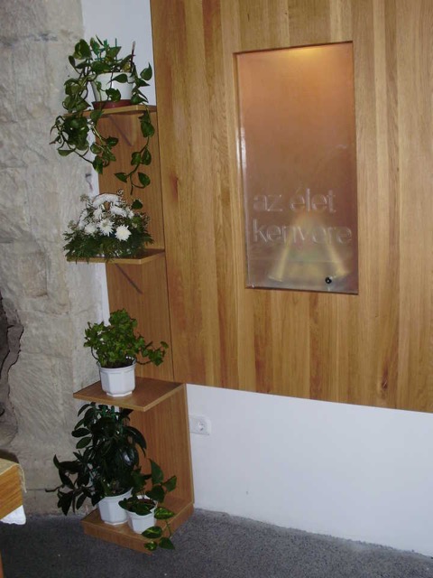 Kecske s templom padok 014